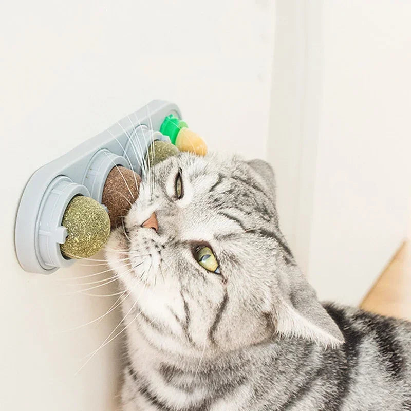 Furmyra Catnip Bliss Sticks — 100% organic catnip wall-mounted cat toy